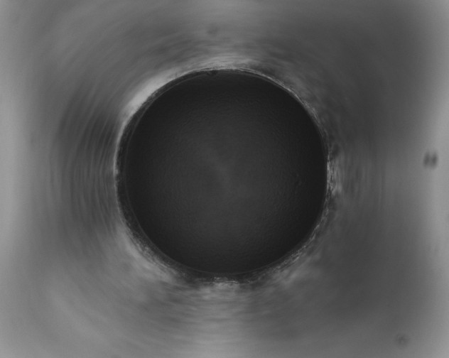X0000111800196200907301217