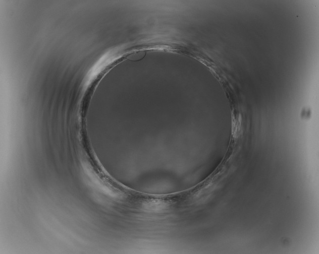 X0000111800198200907301217
