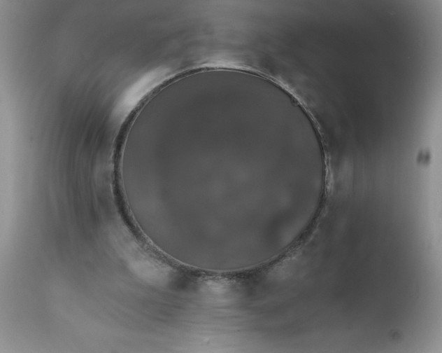 X0000111800199200907301217