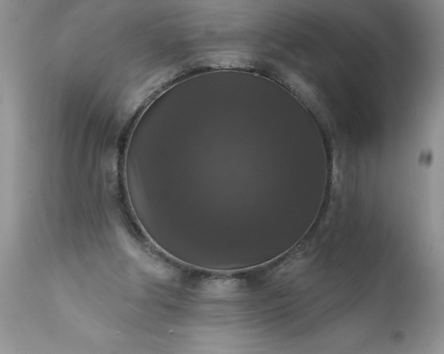 X0000111800202200907301217