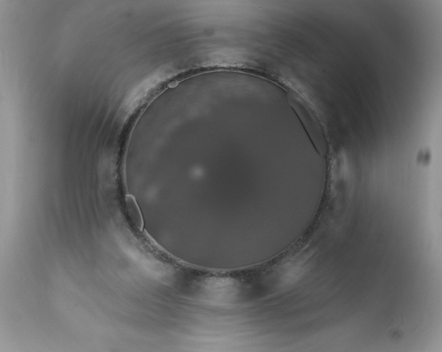 X0000111800203200907301217