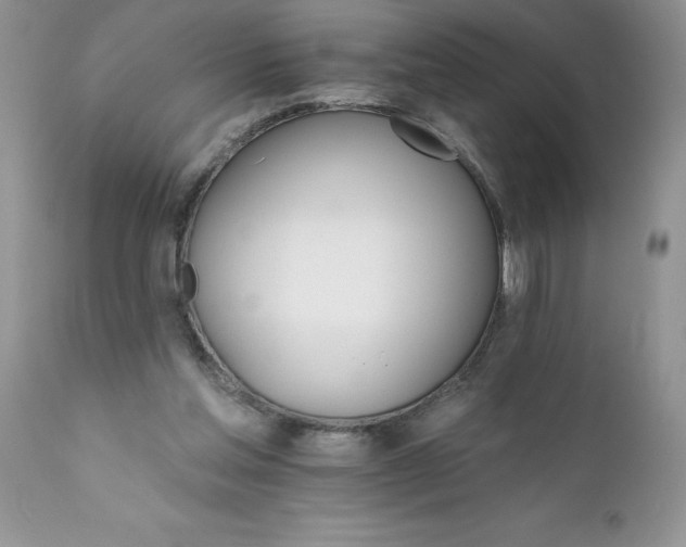 X0000111800205200907301217