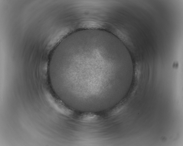 X0000111800206200907301217