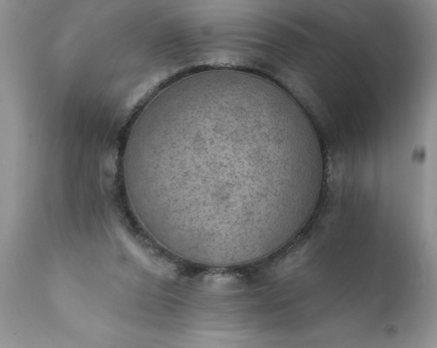 X0000111800208200907301217