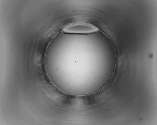 X0000111800209200907301217