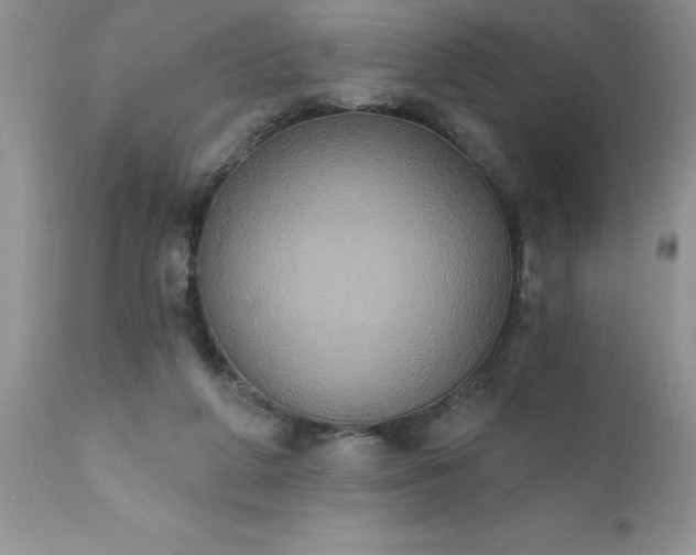 X0000111800210200907301217