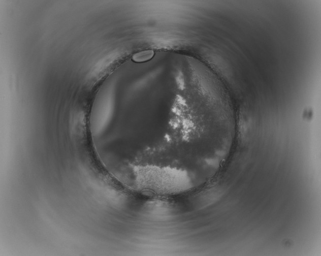 X0000111800211200907301217