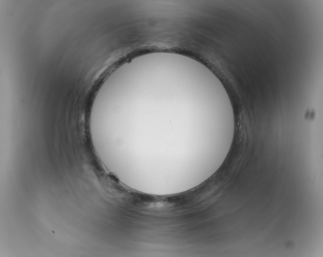 X0000111800212200907301217