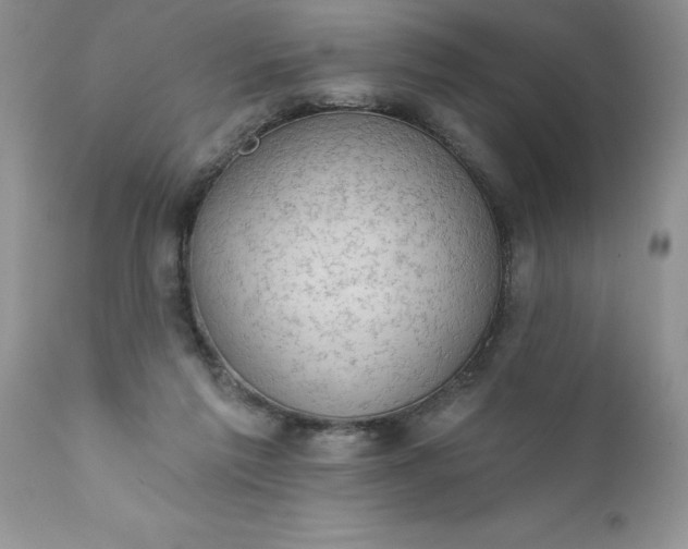X0000111800213200907301217