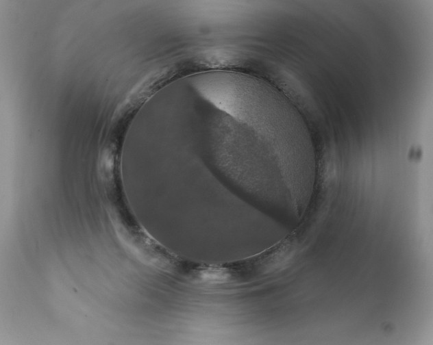 X0000111800214200907301217