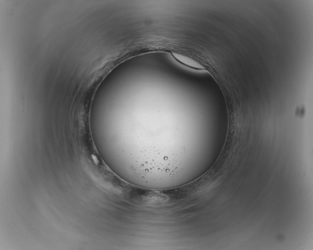X0000111800215200907301217
