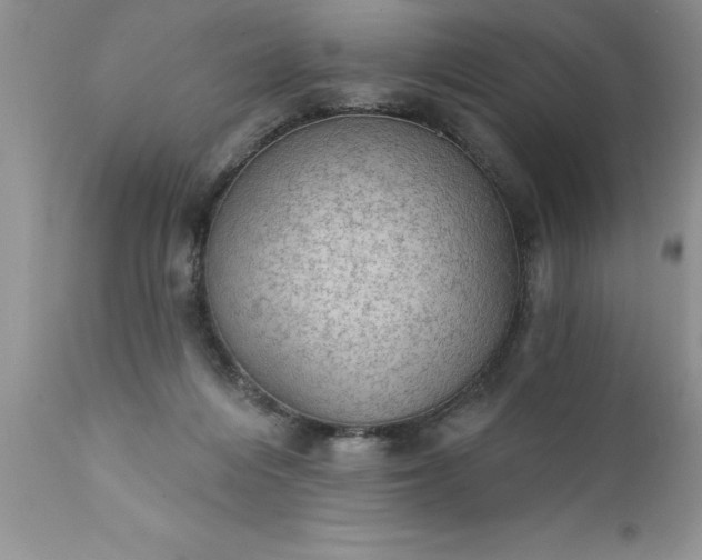 X0000111800216200907301217