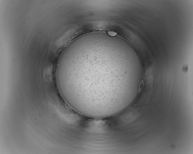 X0000111800217200907301217