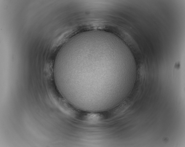 X0000111800218200907301217