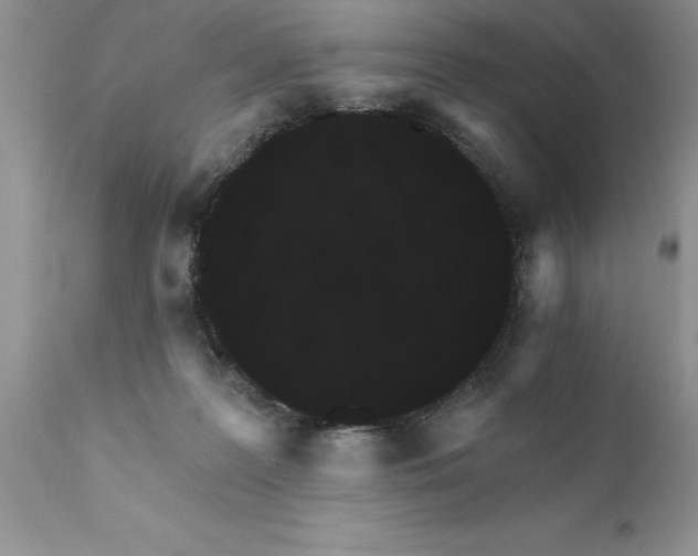 X0000111800219200907301217