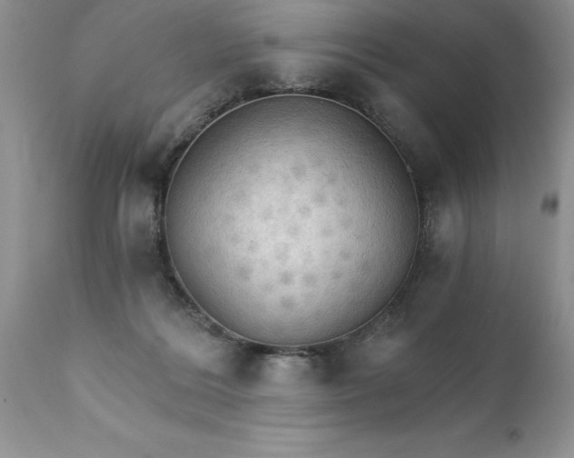 X0000111800220200907301217