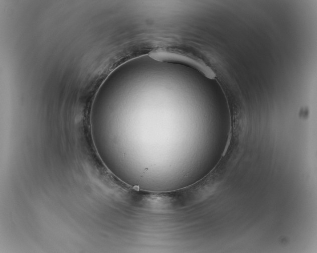 X0000111800221200907301217