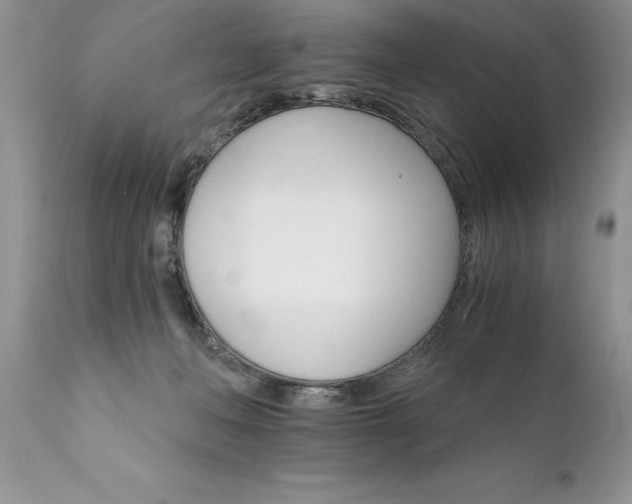 X0000111800222200907301217