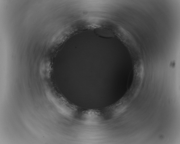 X0000111800223200907301217