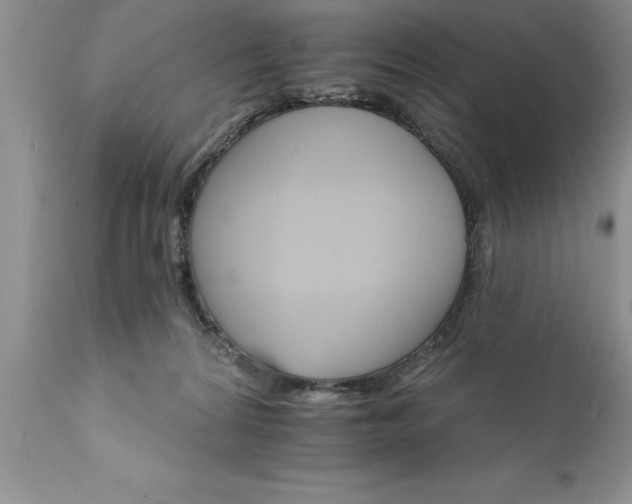 X0000111800224200907301217