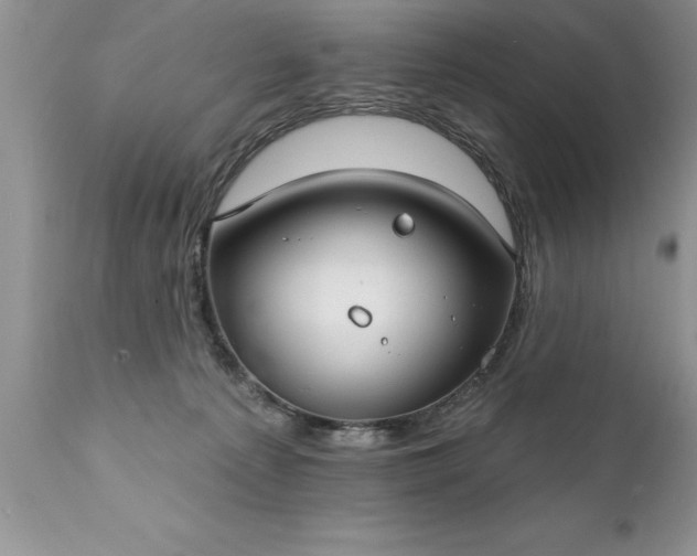 X0000111800225200907301217