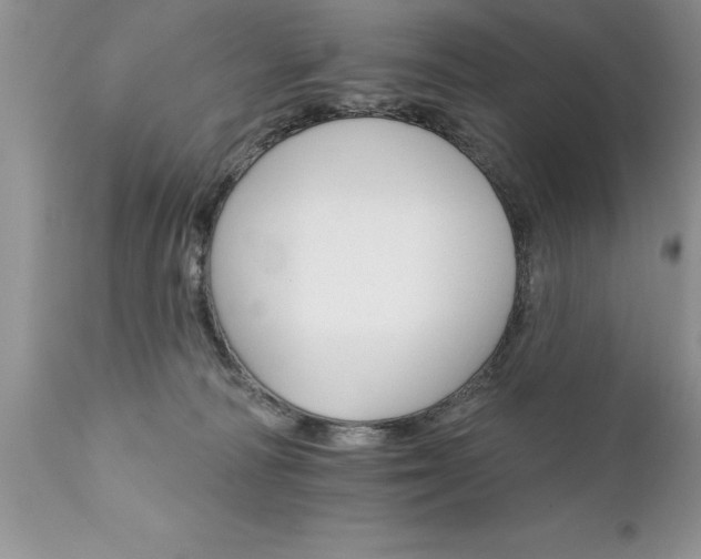 X0000111800226200907301217