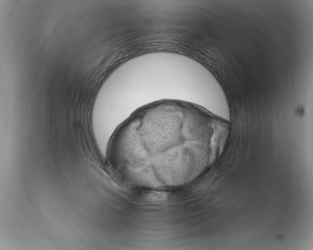 X0000111800227200907301217