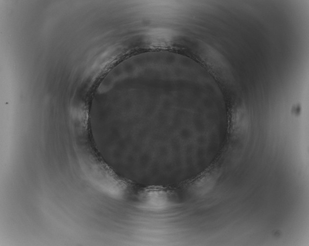 X0000111800228200907301217