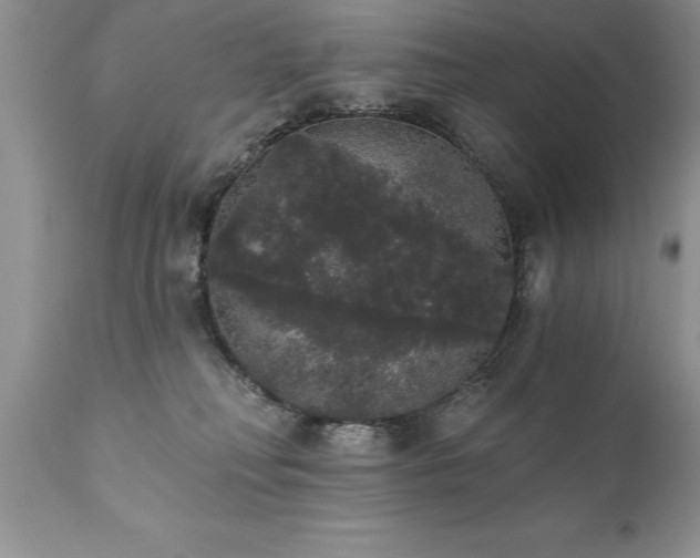 X0000111800230200907301217