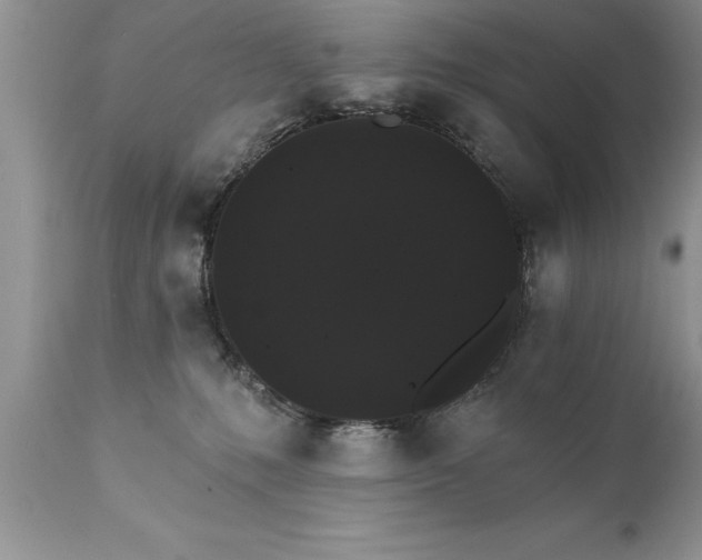 X0000111800231200907301217