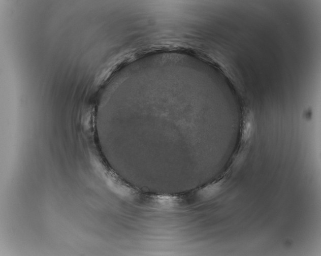 X0000111800233200907301217