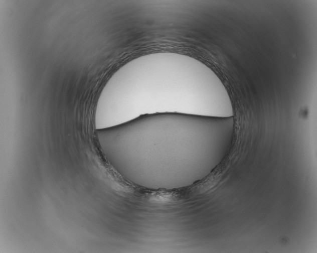 X0000111800235200907301216