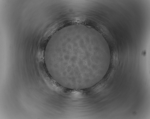 X0000111800236200907301216