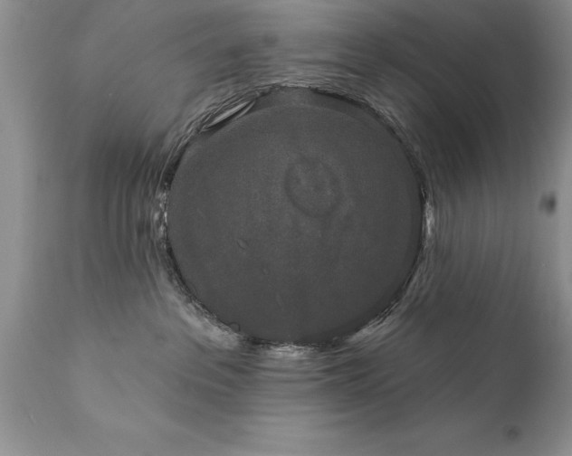 X0000111800237200907301216