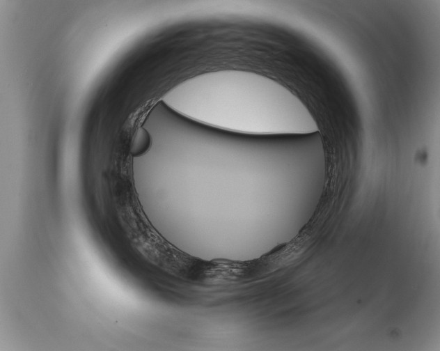 X0000111800239200907301216