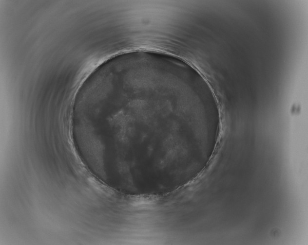 X0000111800241200907301216