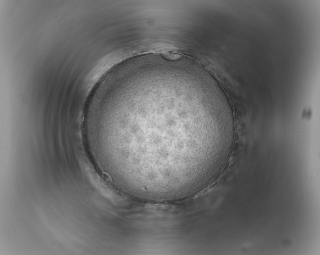 X0000111800242200907301216