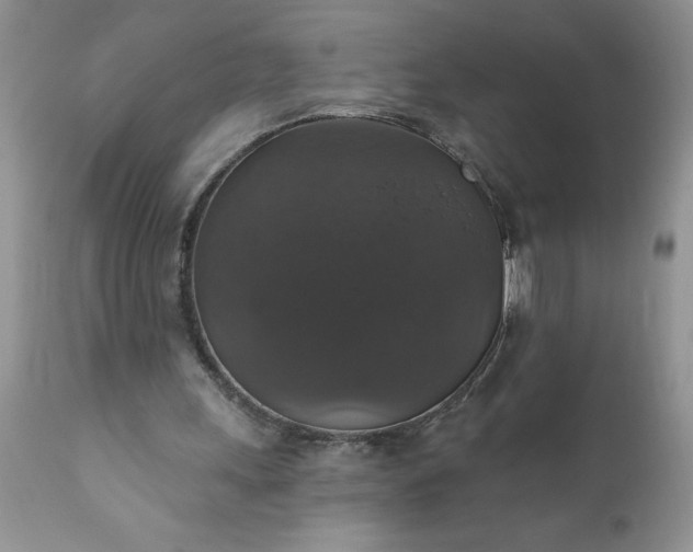 X0000111800243200907301216