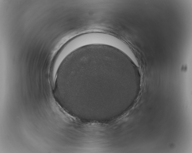 X0000111800244200907301216