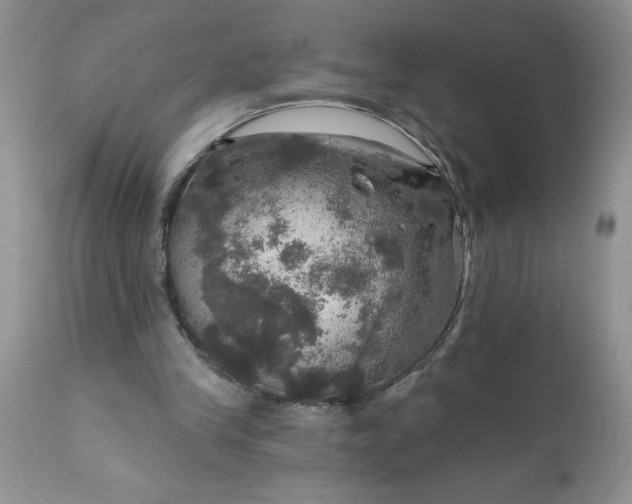 X0000111800245200907301216