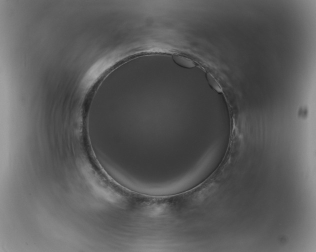 X0000111800247200907301216