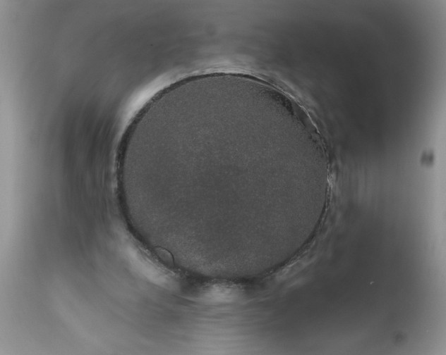 X0000111800248200907301216