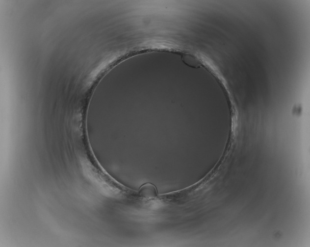 X0000111800249200907301216