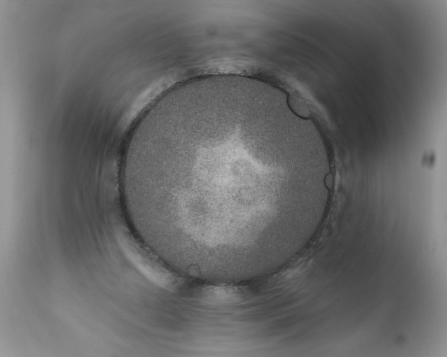X0000111800250200907301216