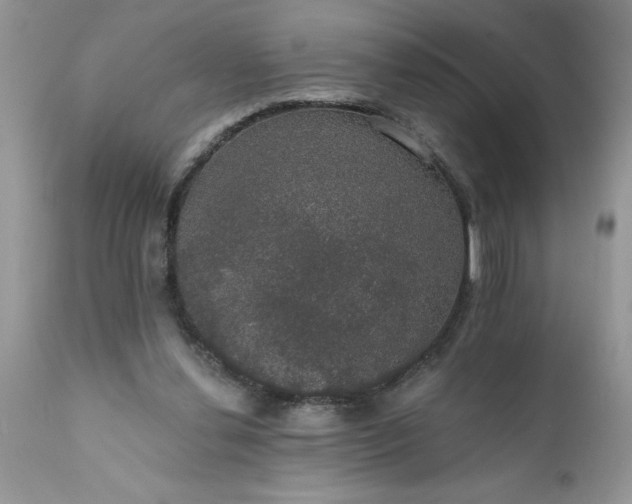 X0000111800252200907301216