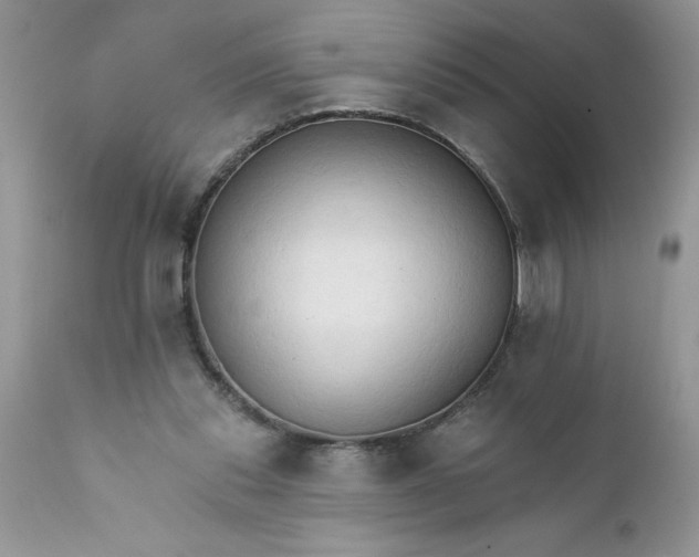 X0000111800253200907301216