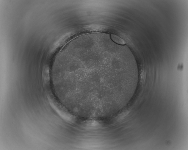 X0000111800254200907301216