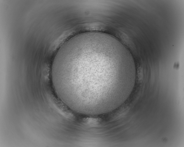 X0000111800255200907301216
