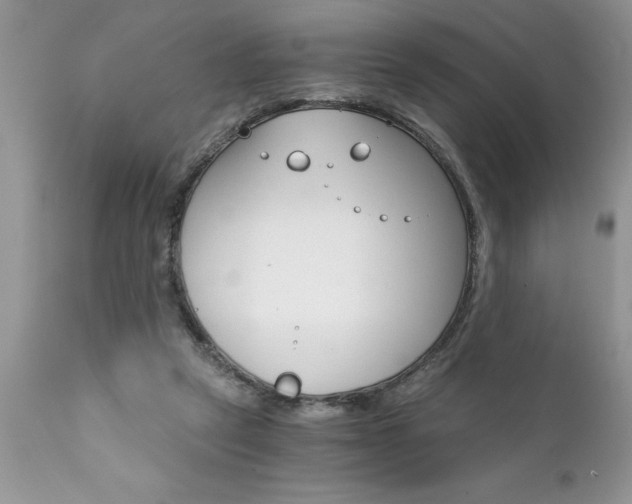 X0000111800257200907301216