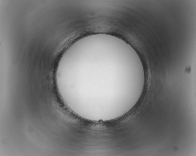 X0000111800258200907301216